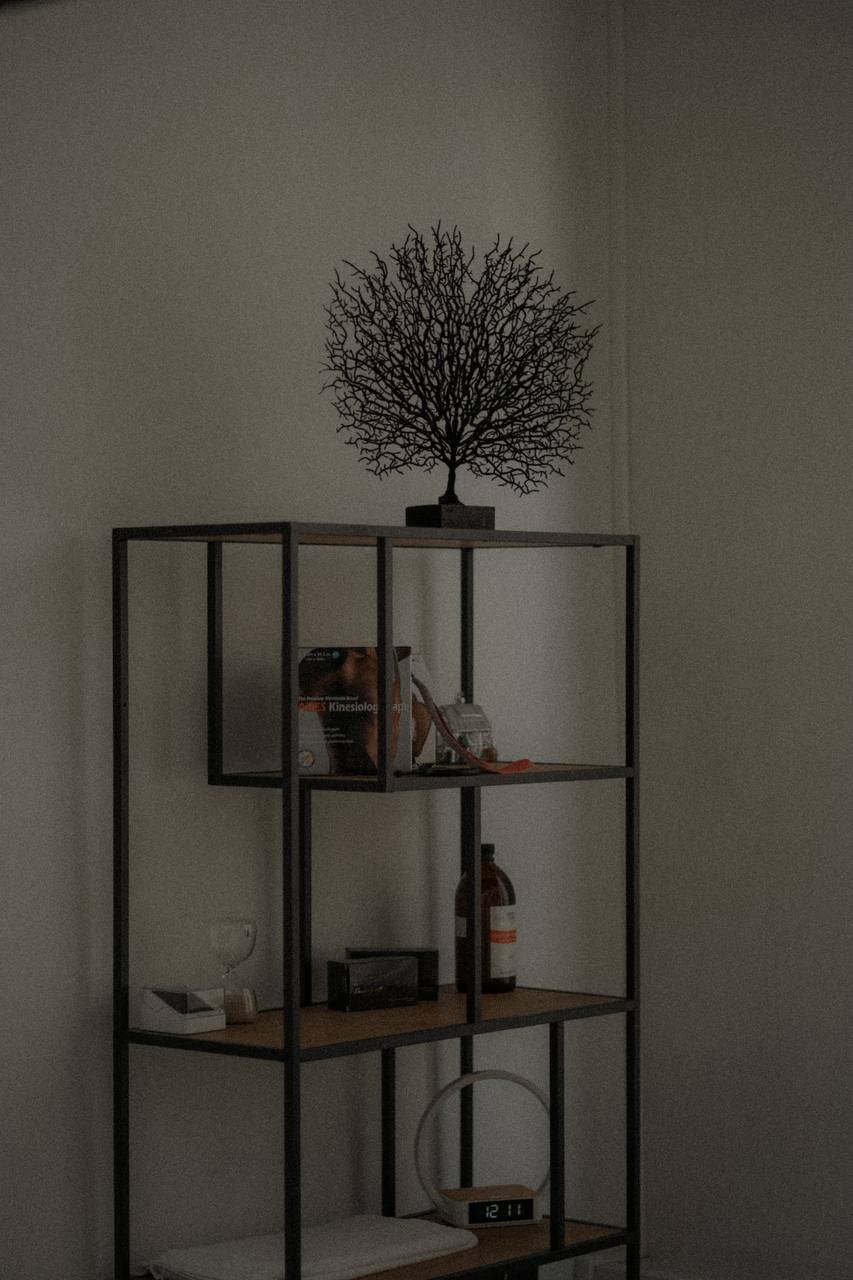 A black metal and wooden bookshelf with a decorative tree sculpture on top, a book, and various small objects on its shelves, against a plain wall.